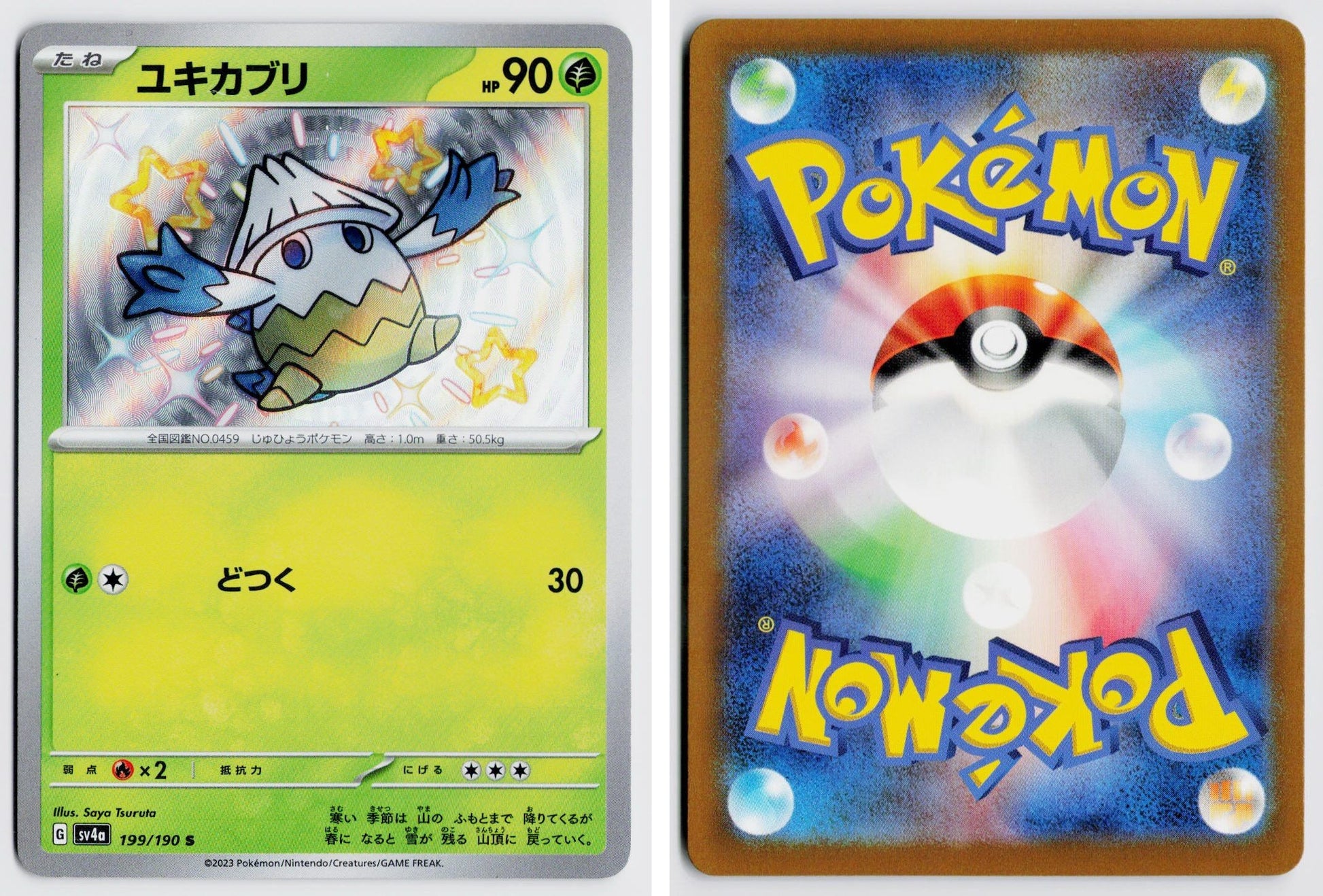 Front + Back scan