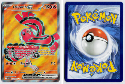 Front + Back scan