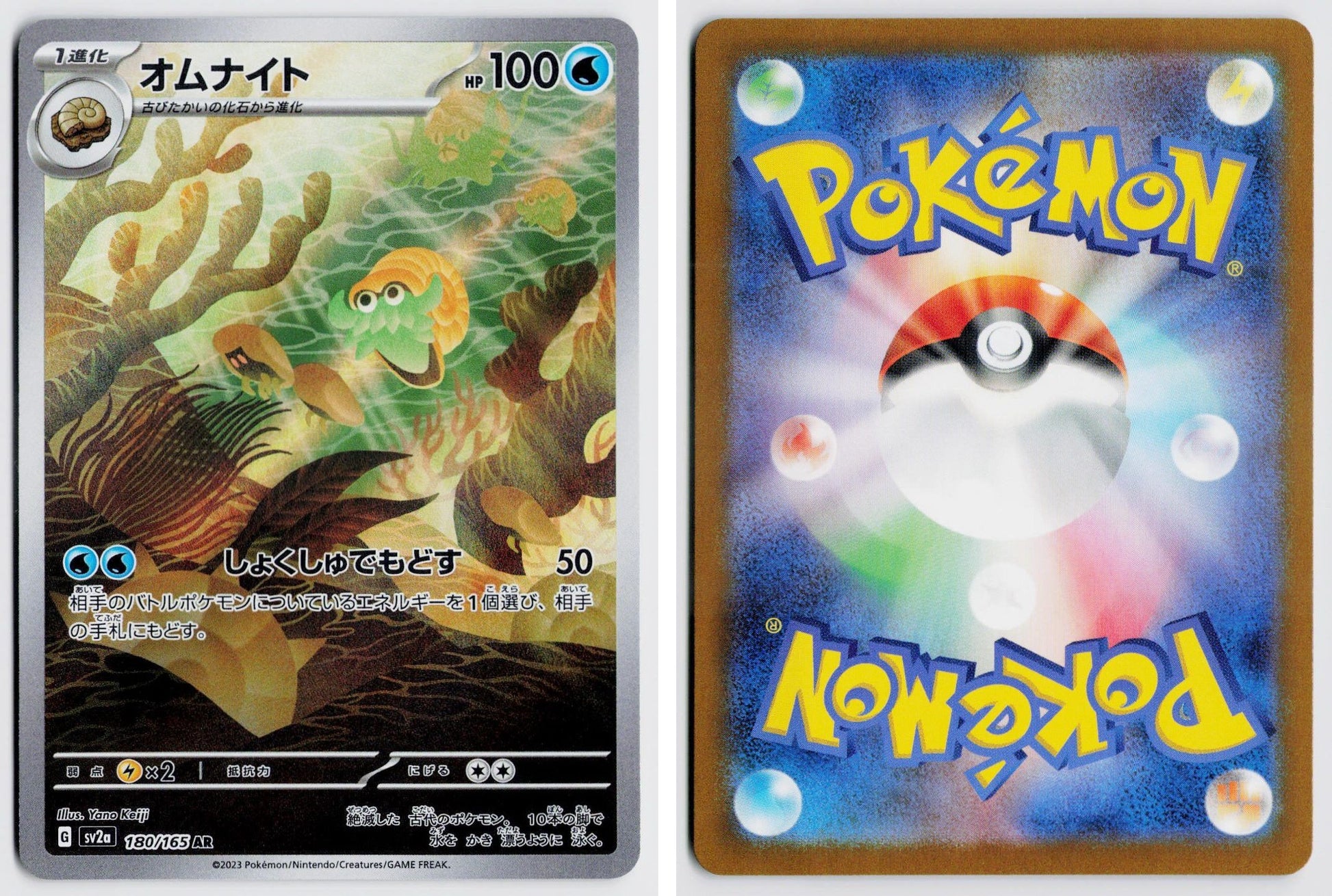 Front + Back scan