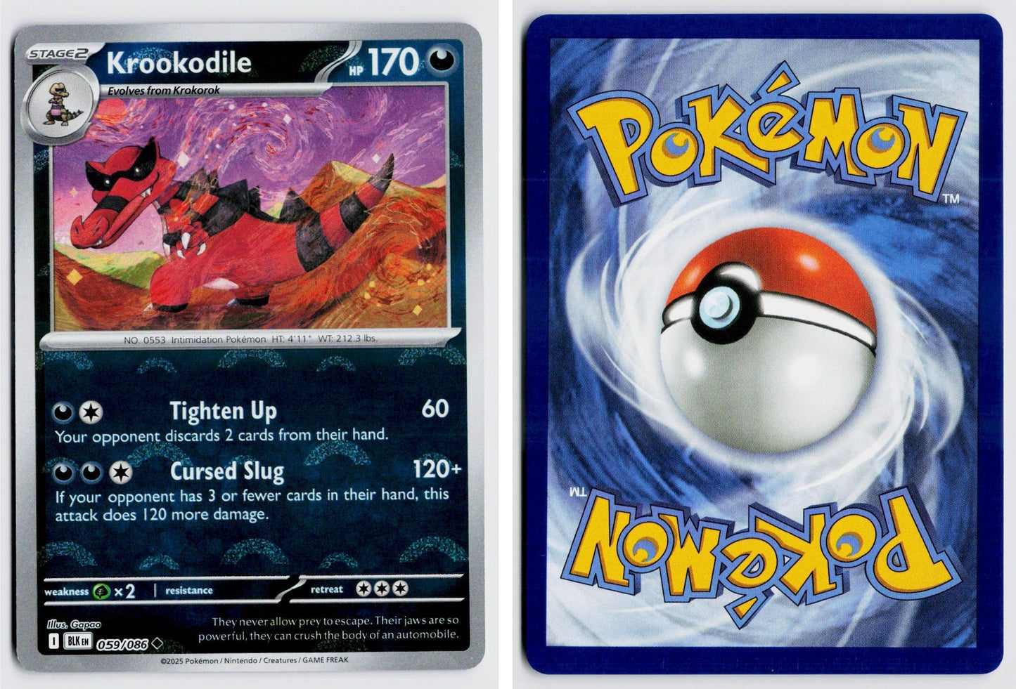 Front + Back scan