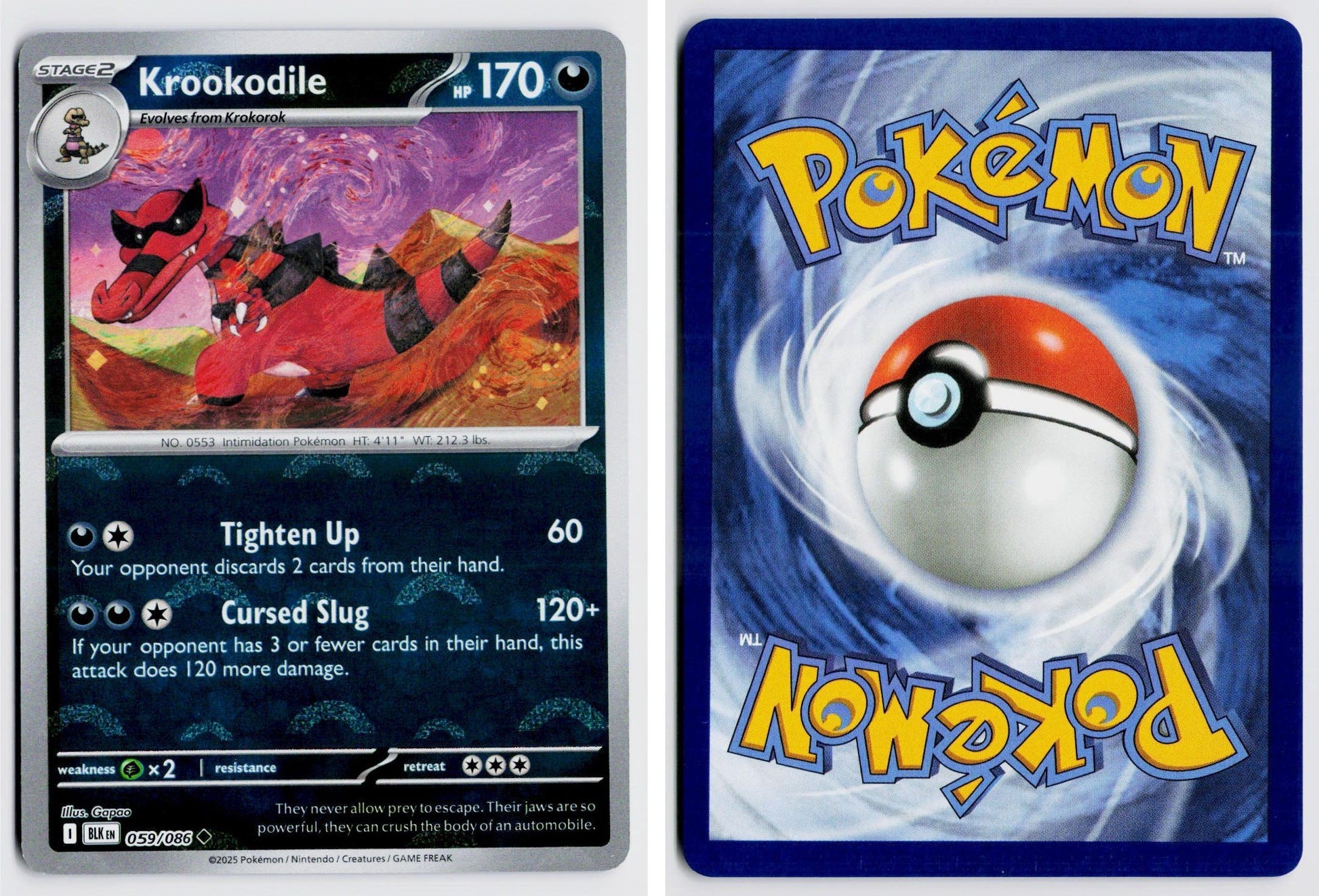 Front + Back scan