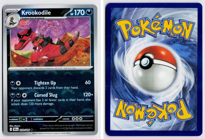 Front + Back scan