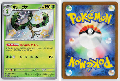 Front + Back scan
