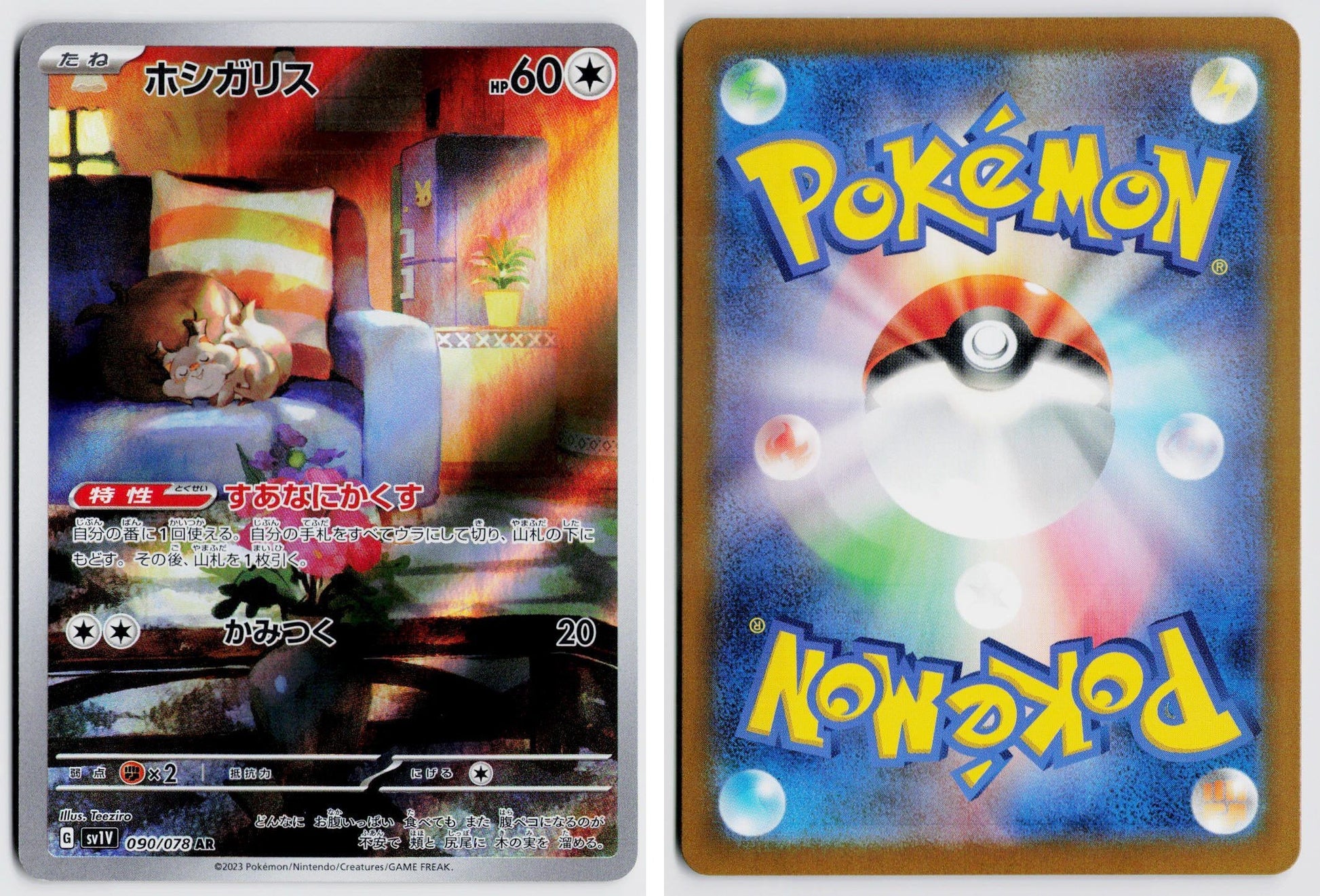 Front + Back scan