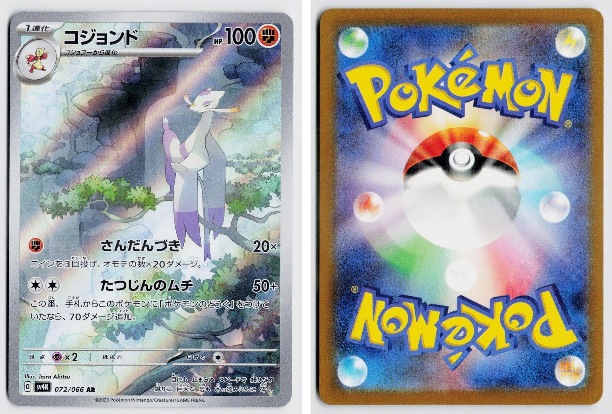 Front + Back scan