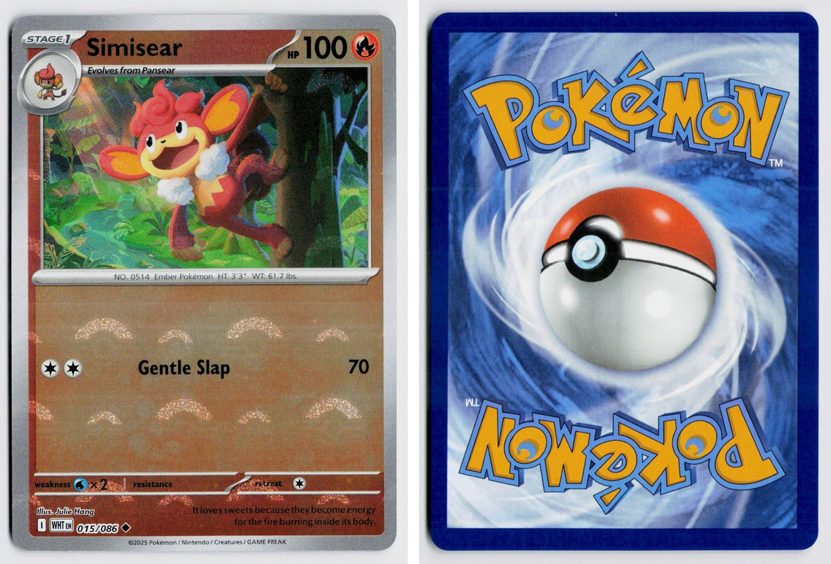 Front + Back scan