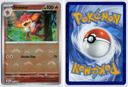Front + Back scan