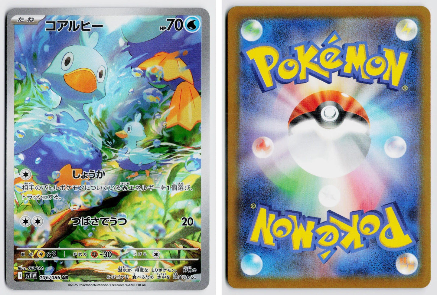Front + Back scan