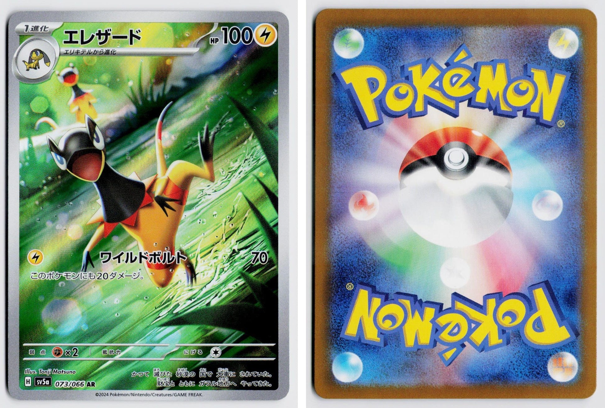 Front + Back scan