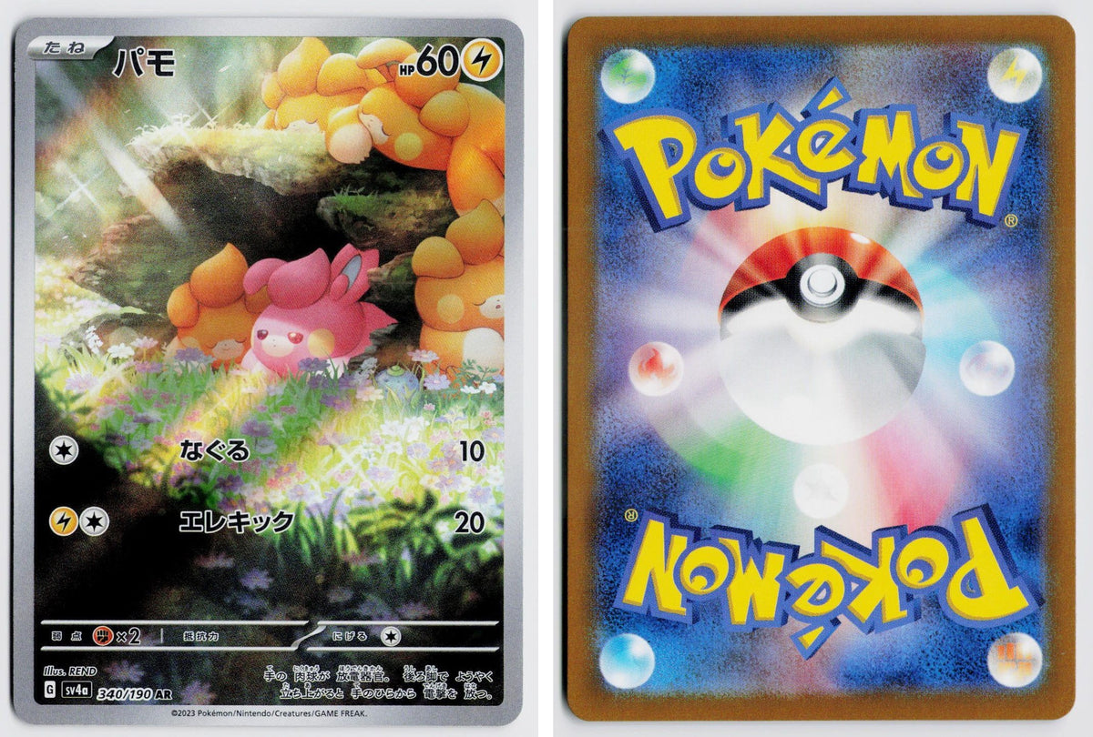 Front + Back scan
