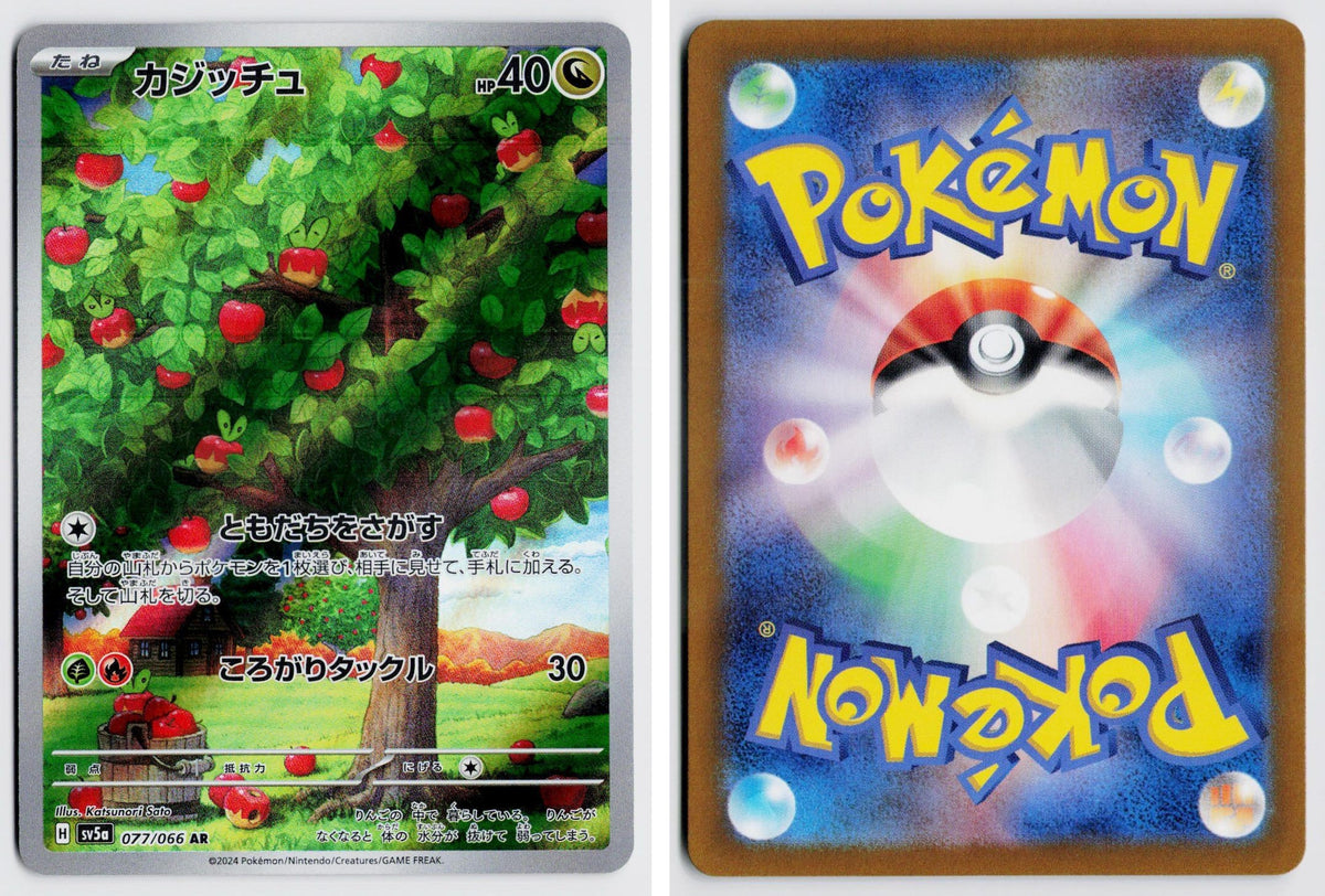 Front + Back scan