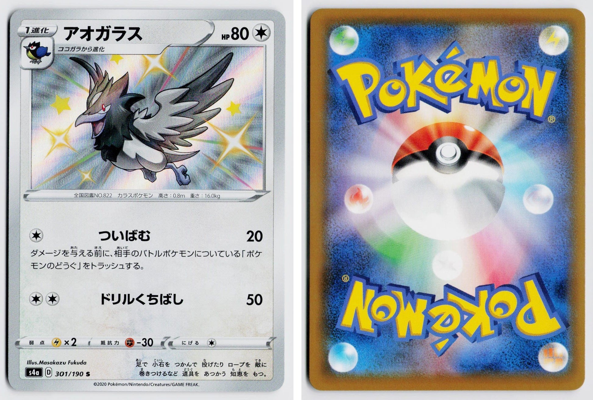 Front + Back scan
