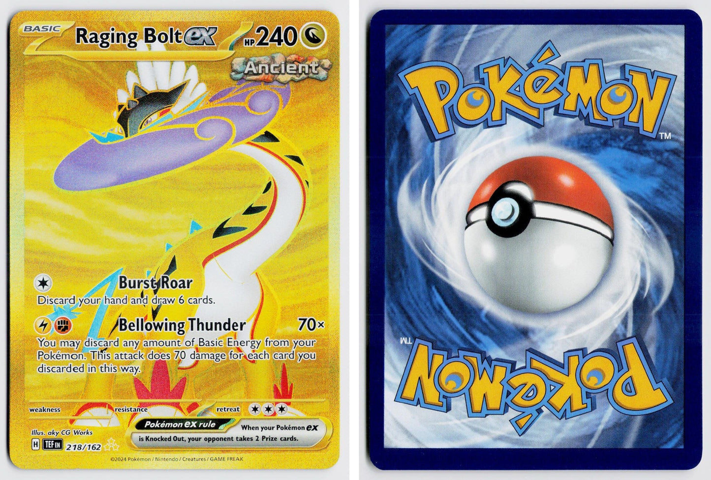 Front + Back scan