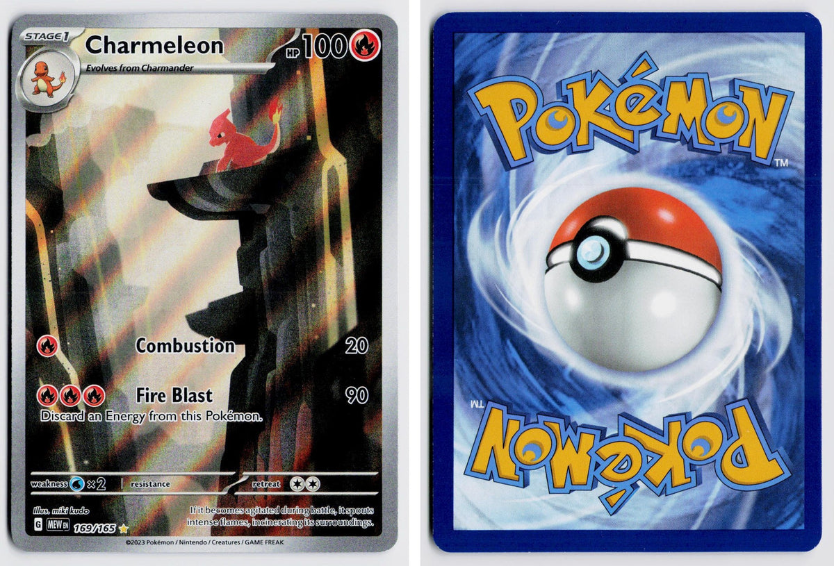 Front + Back scan