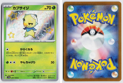 Front + Back scan
