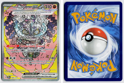 Front + Back scan