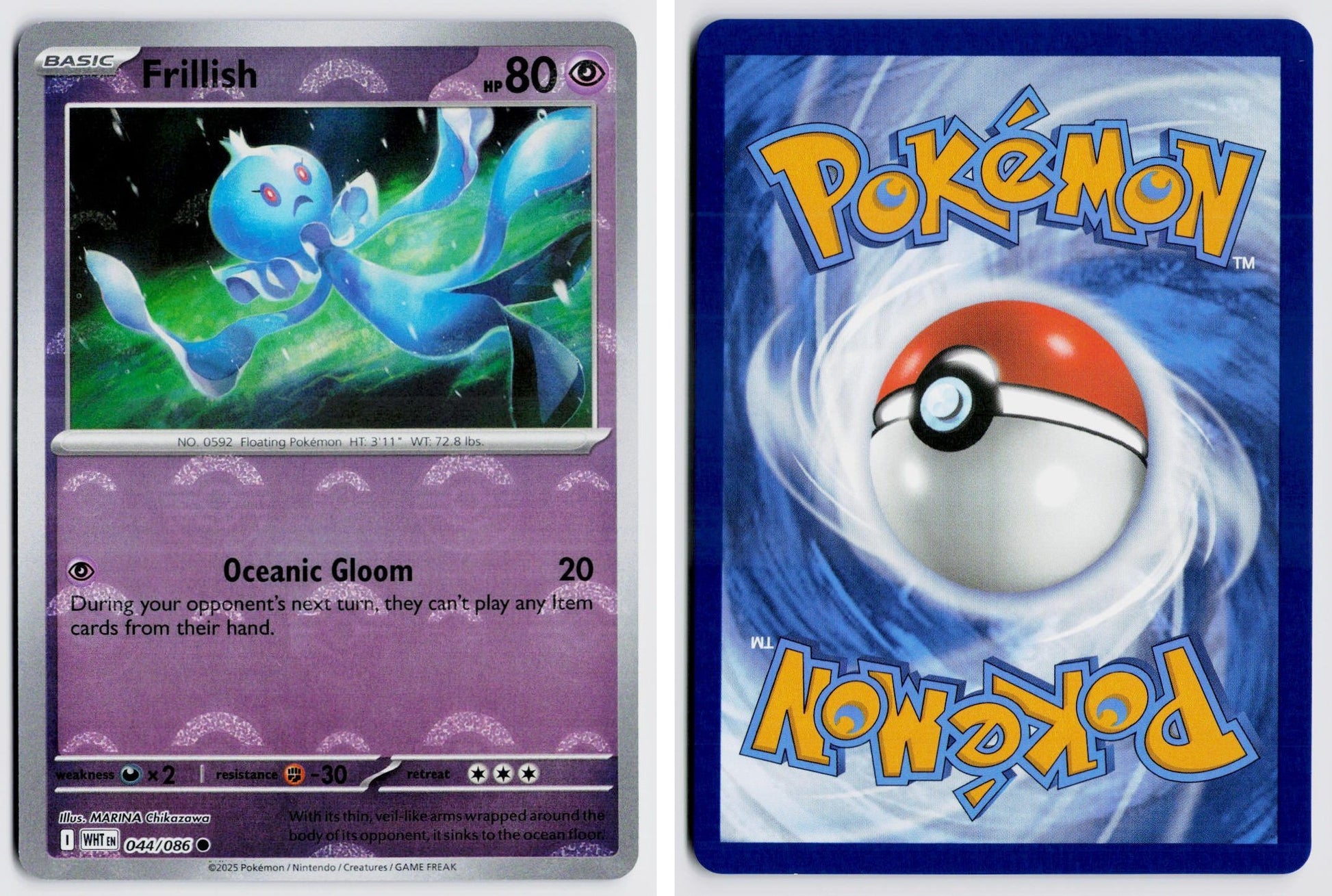 Front + Back scan