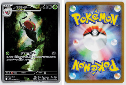 Front + Back scan
