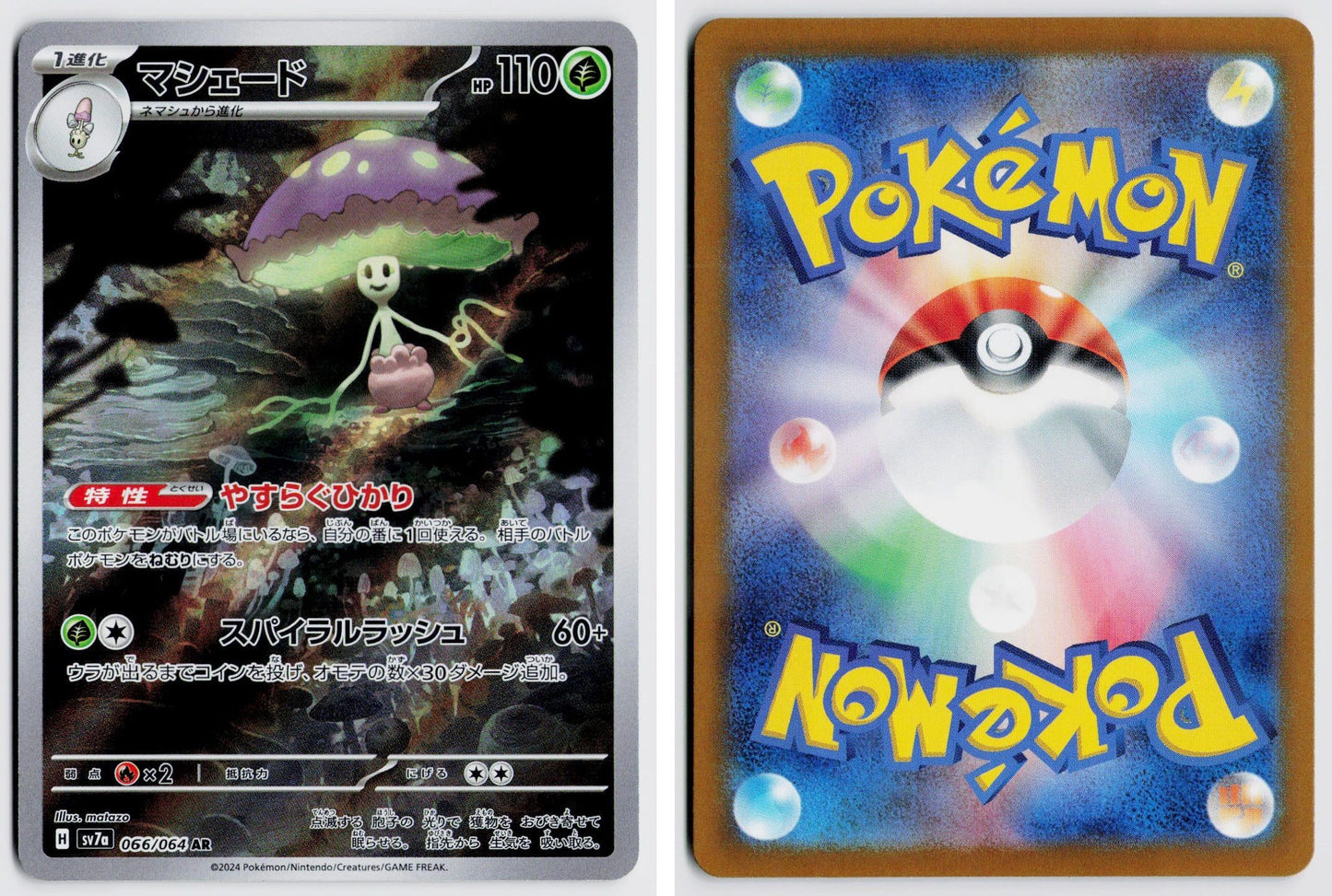 Front + Back scan