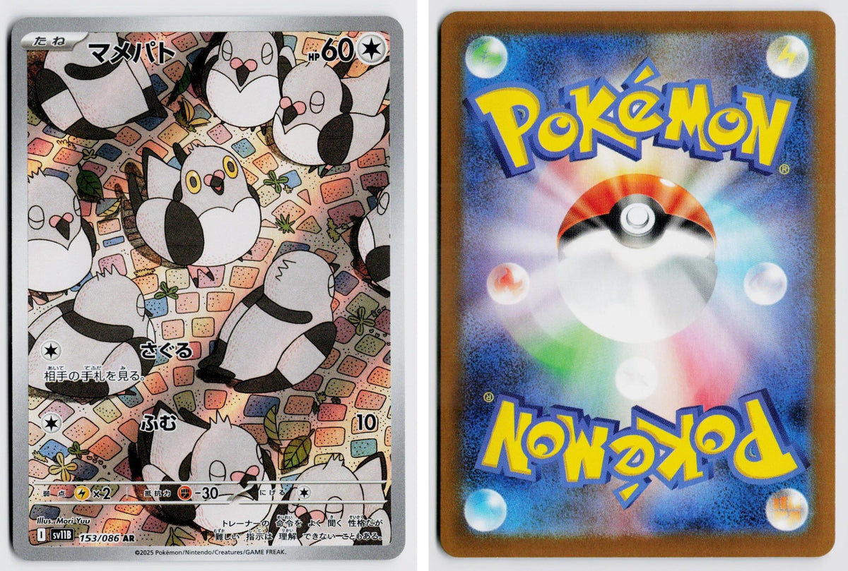 Front + Back scan
