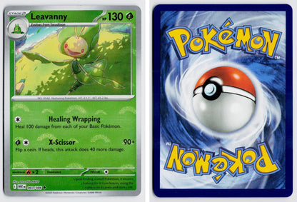 Front + Back scan