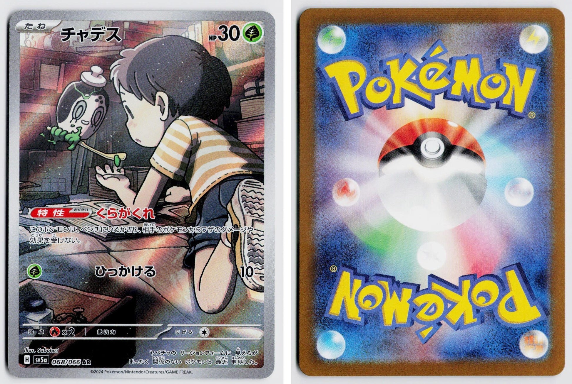 Front + Back scan