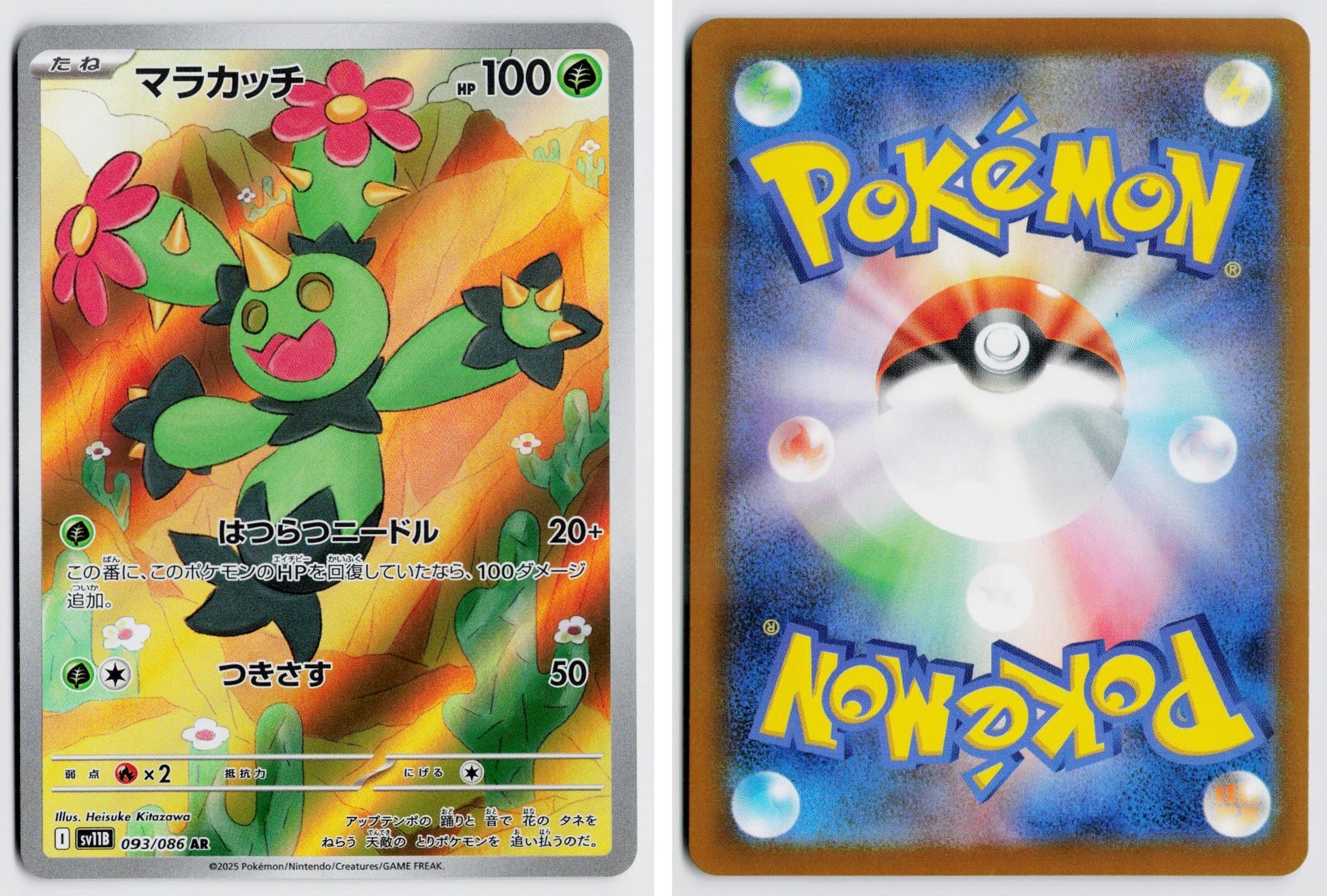 Front + Back scan