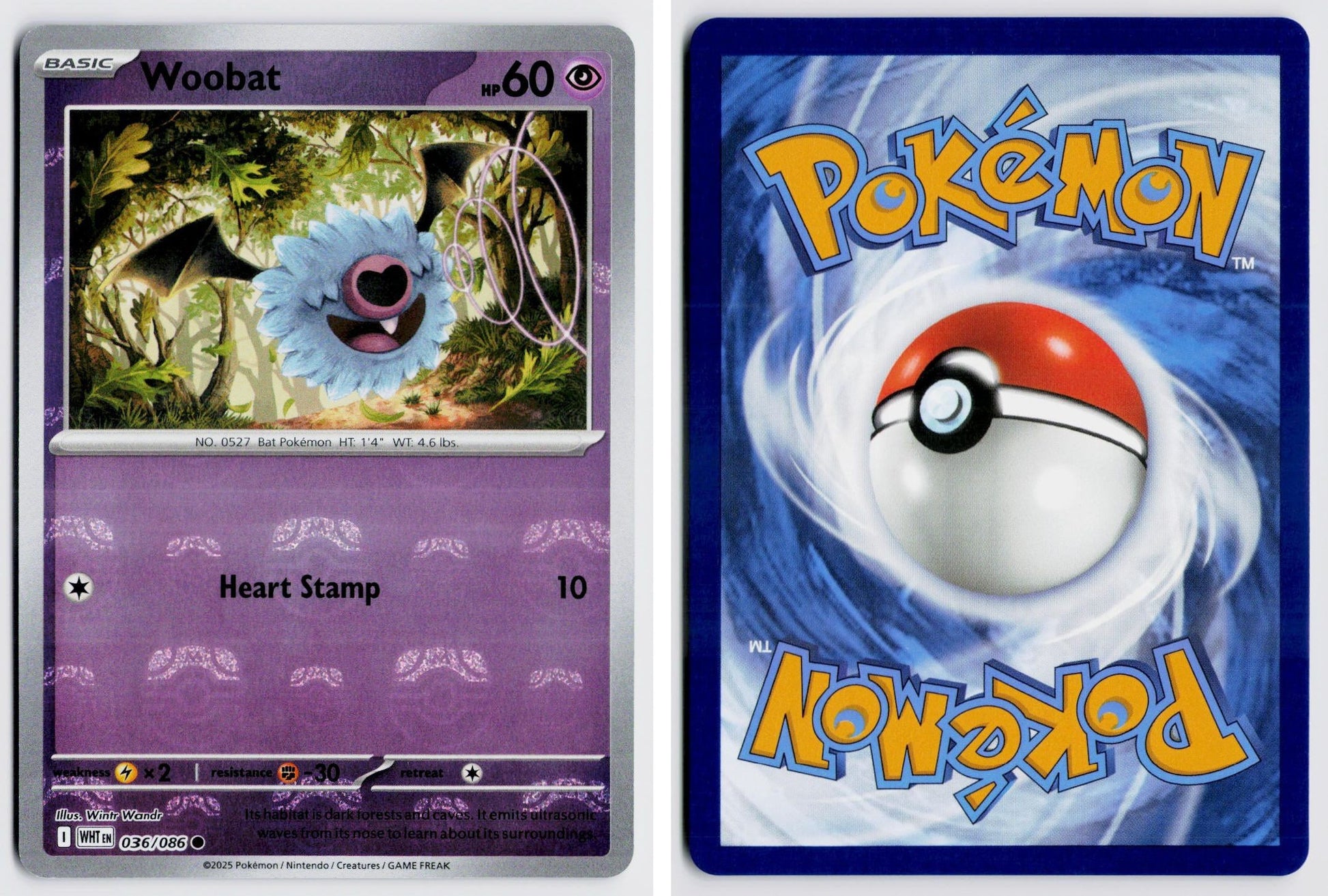 Front + Back scan