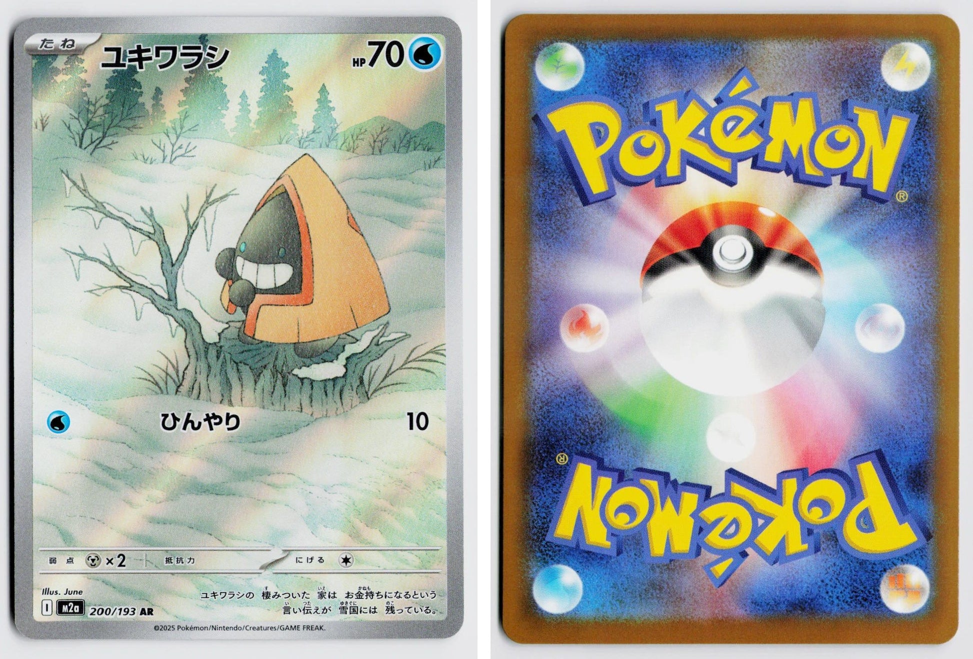 Front + Back scan