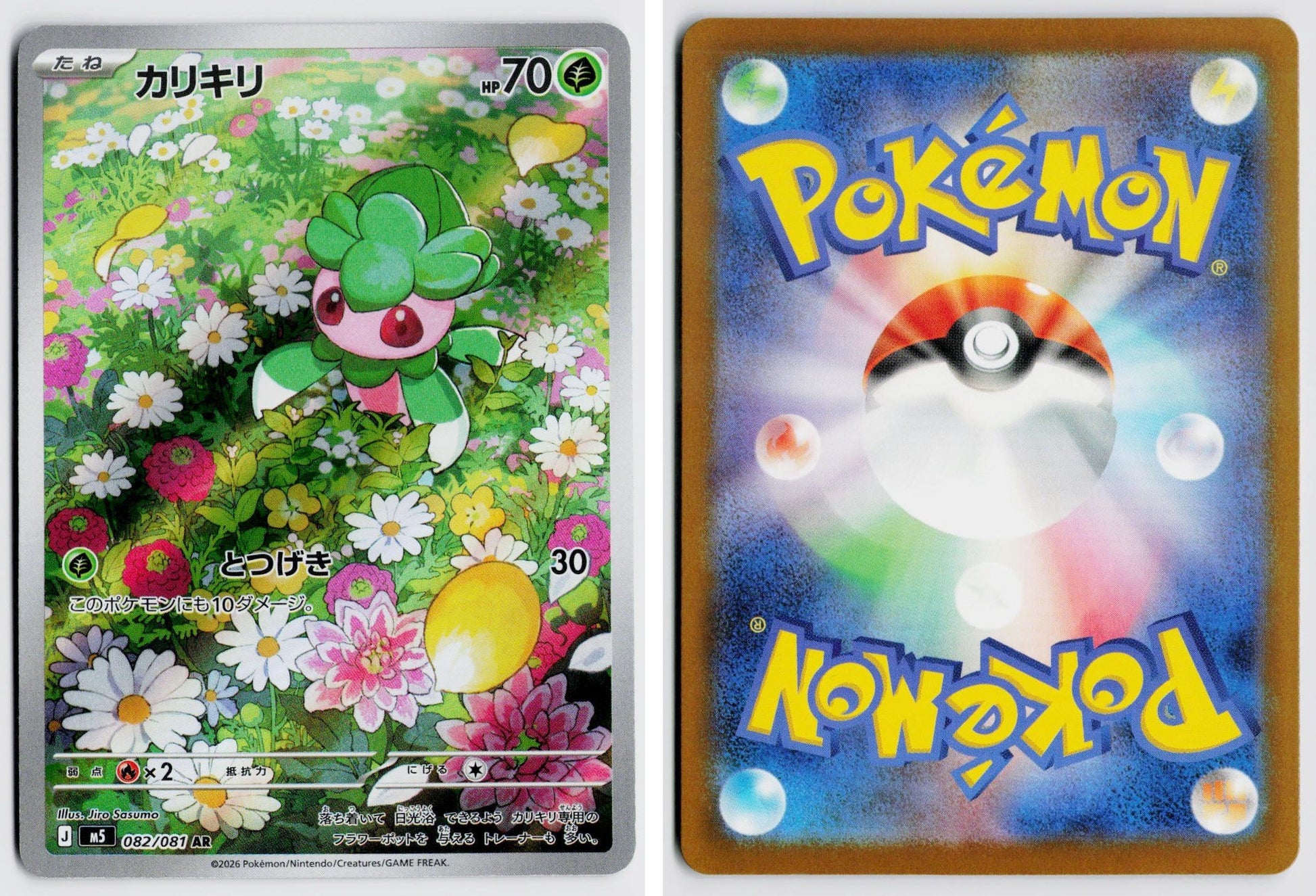 Front + Back scan