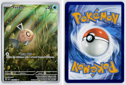 Front + Back scan