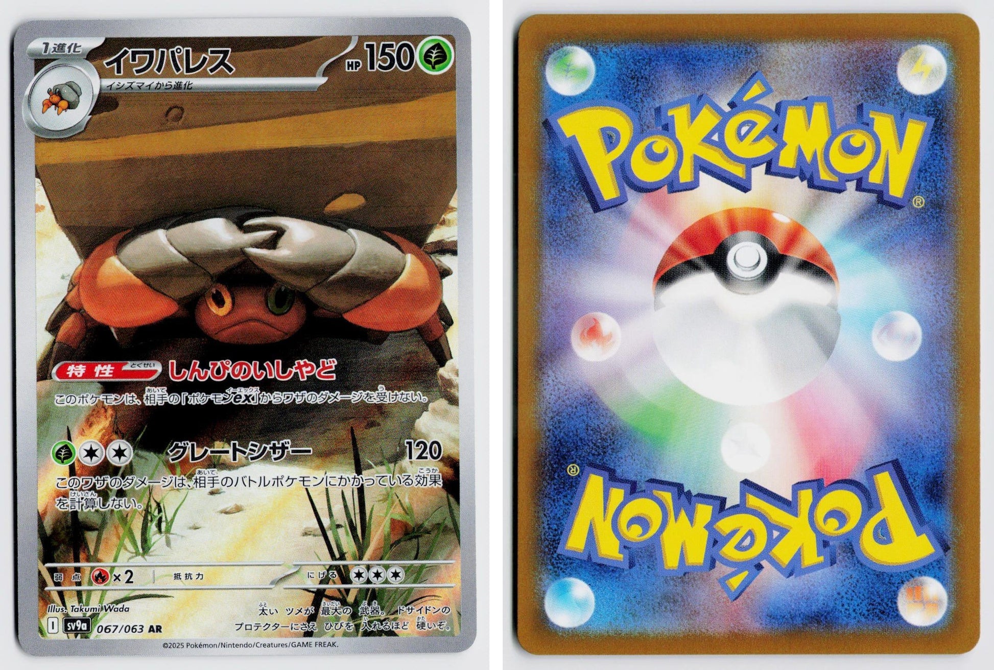 Front + Back scan