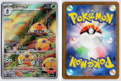 Front + Back scan