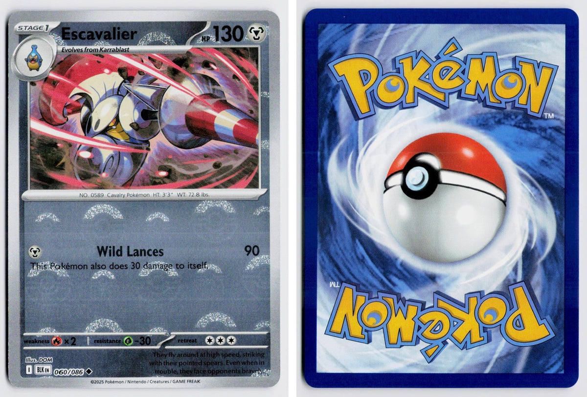 Front + Back scan