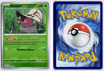 Front + Back scan