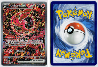 Front + Back scan