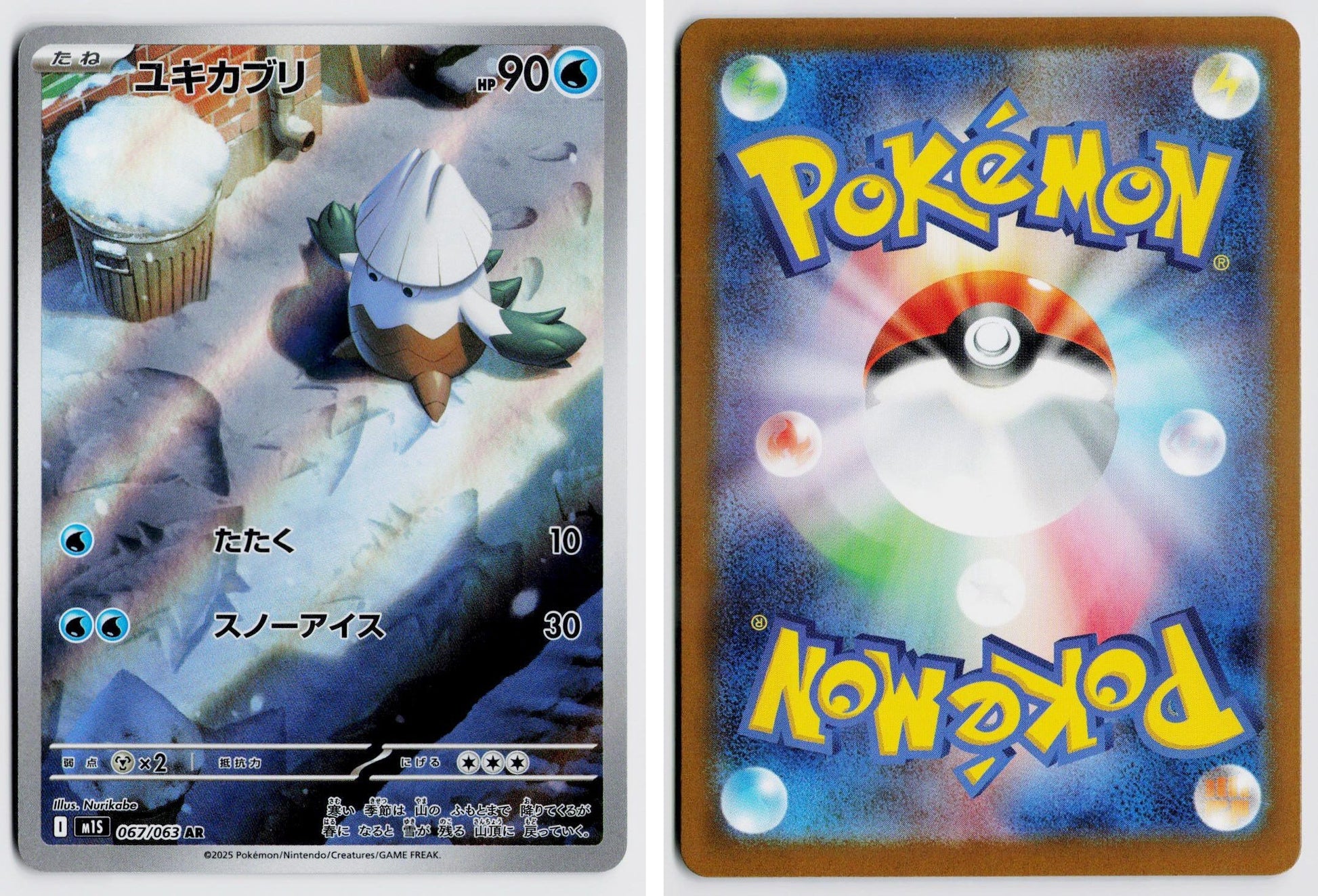 Front + Back scan
