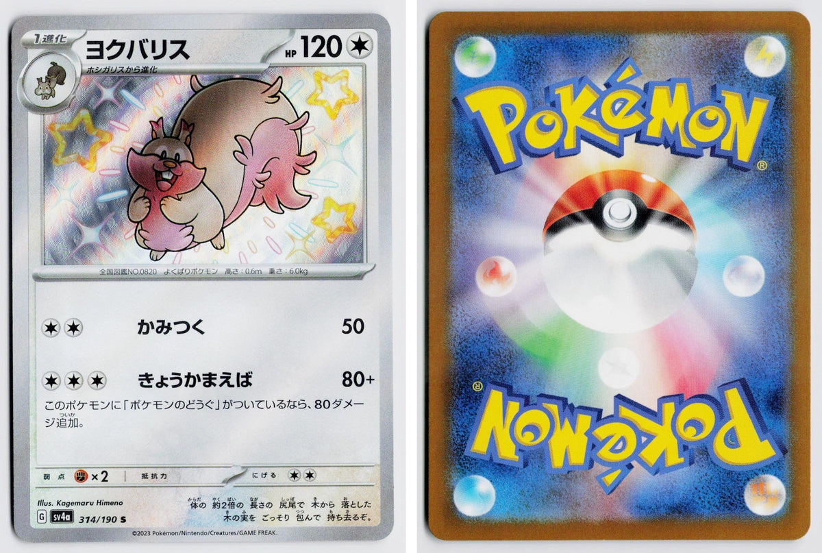 Front + Back scan