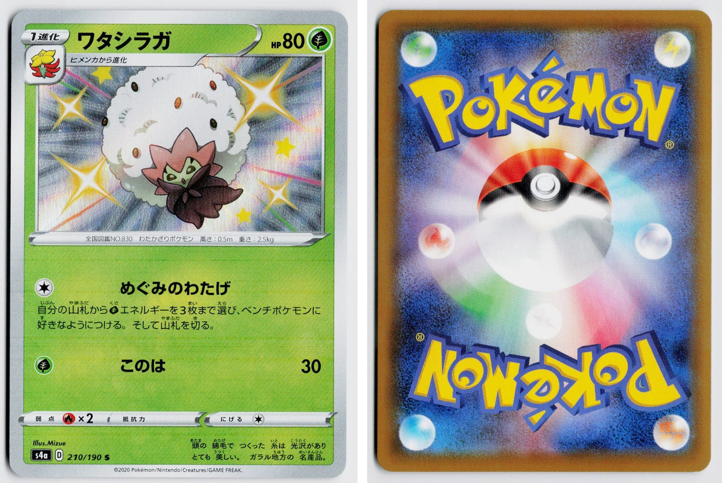 Front + Back scan