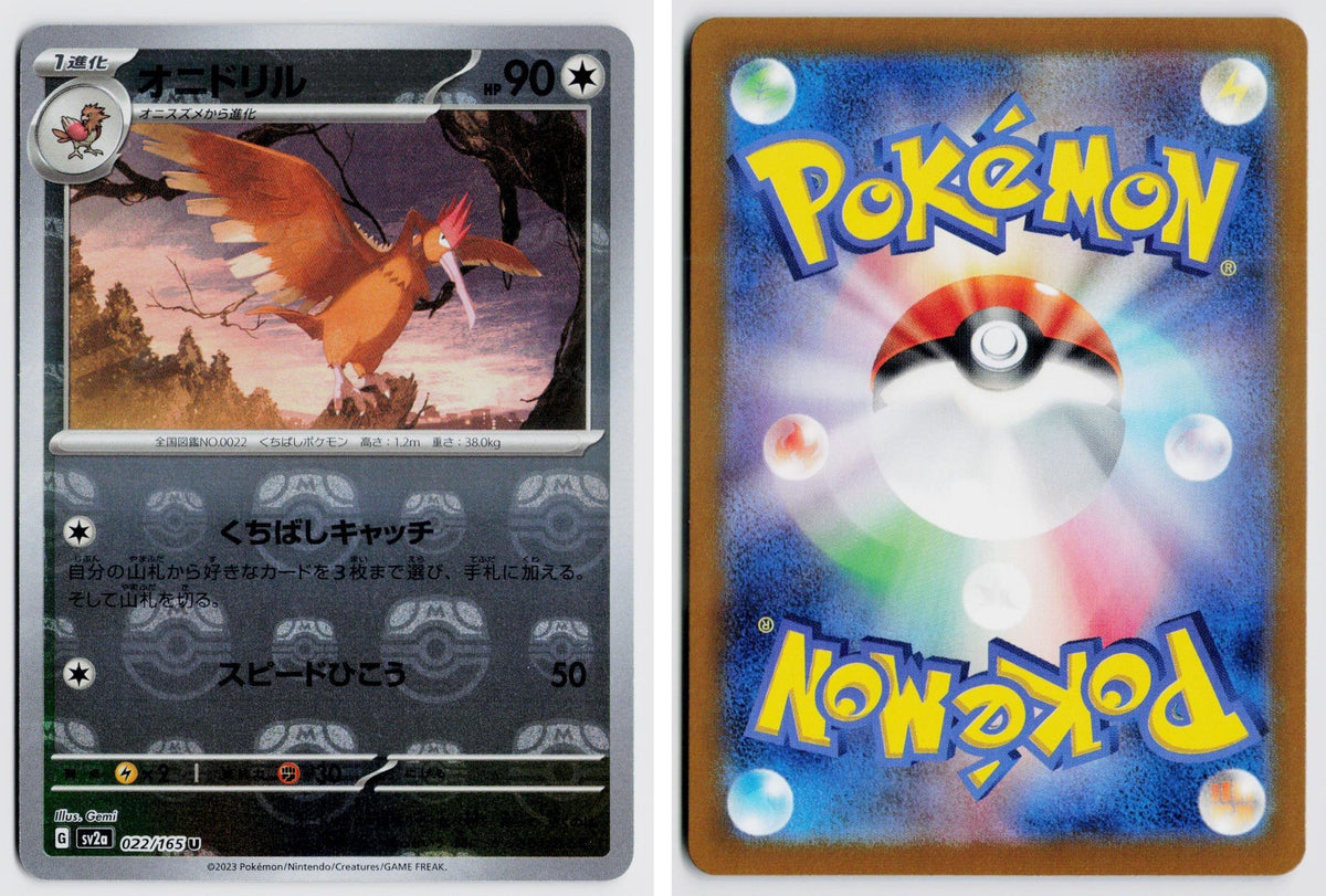 Front + Back scan