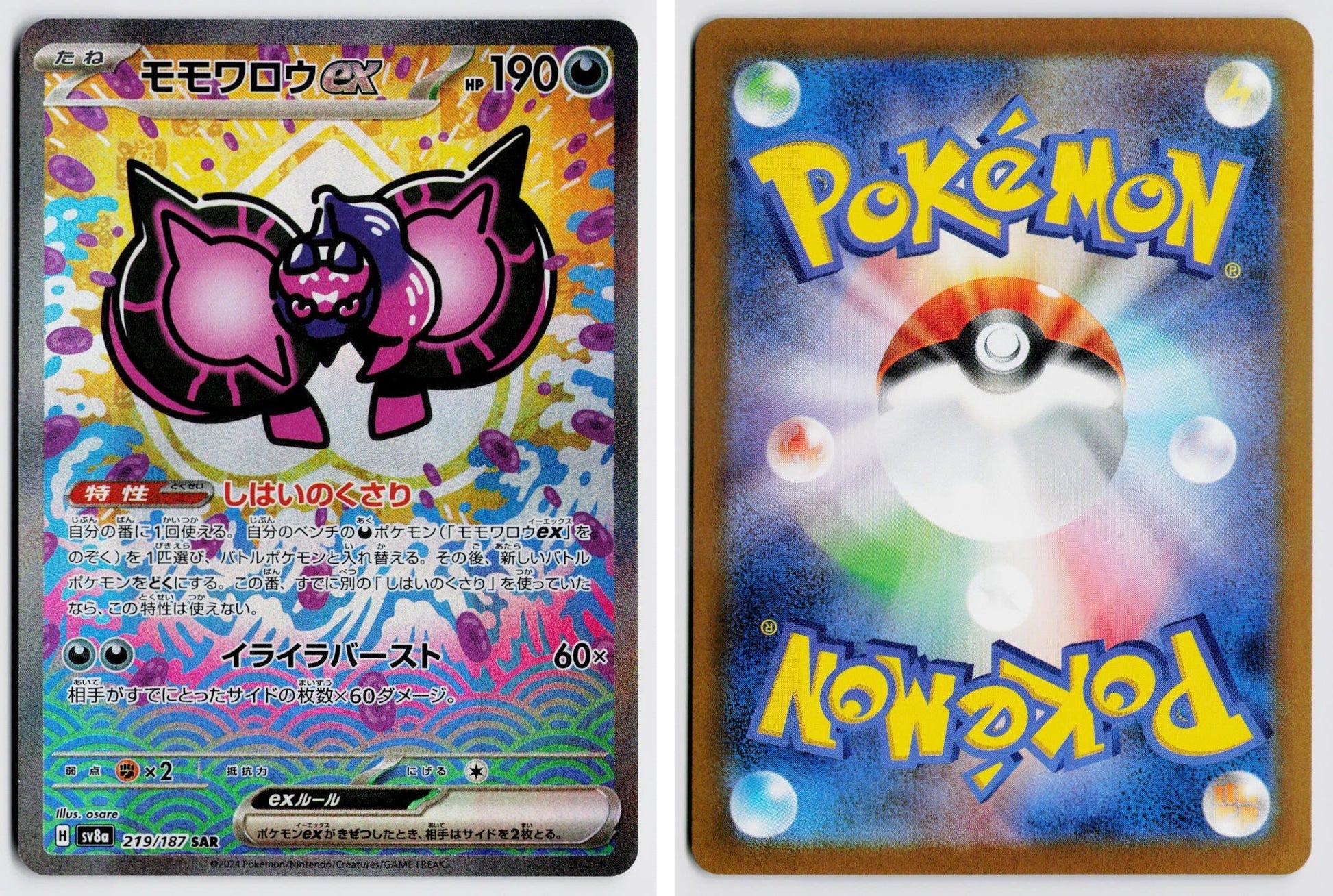 Front + Back scan