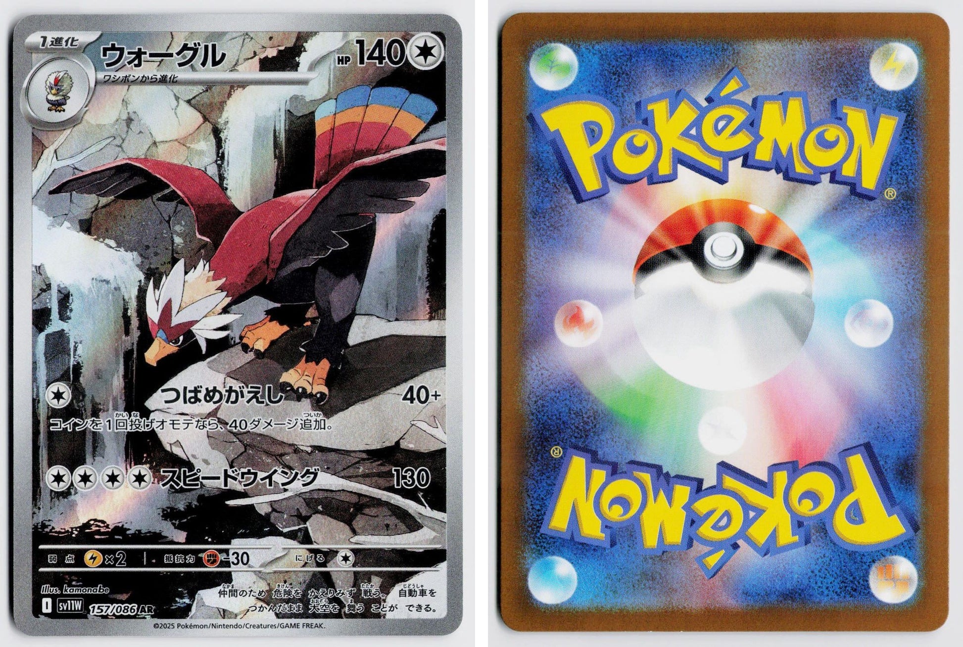 Front + Back scan