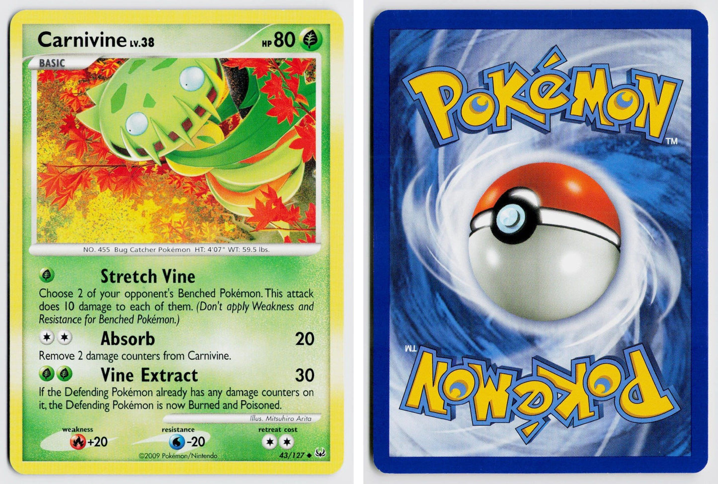 Front + Back scan