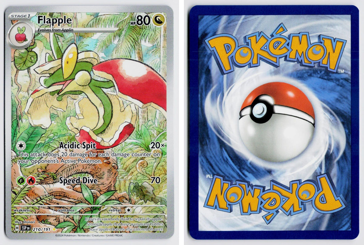 Front + Back scan