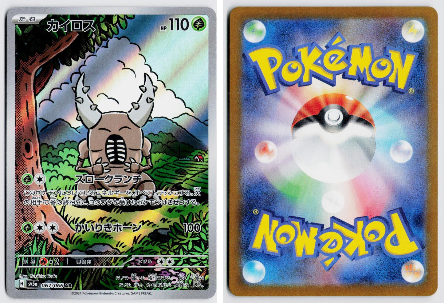 Front + Back scan