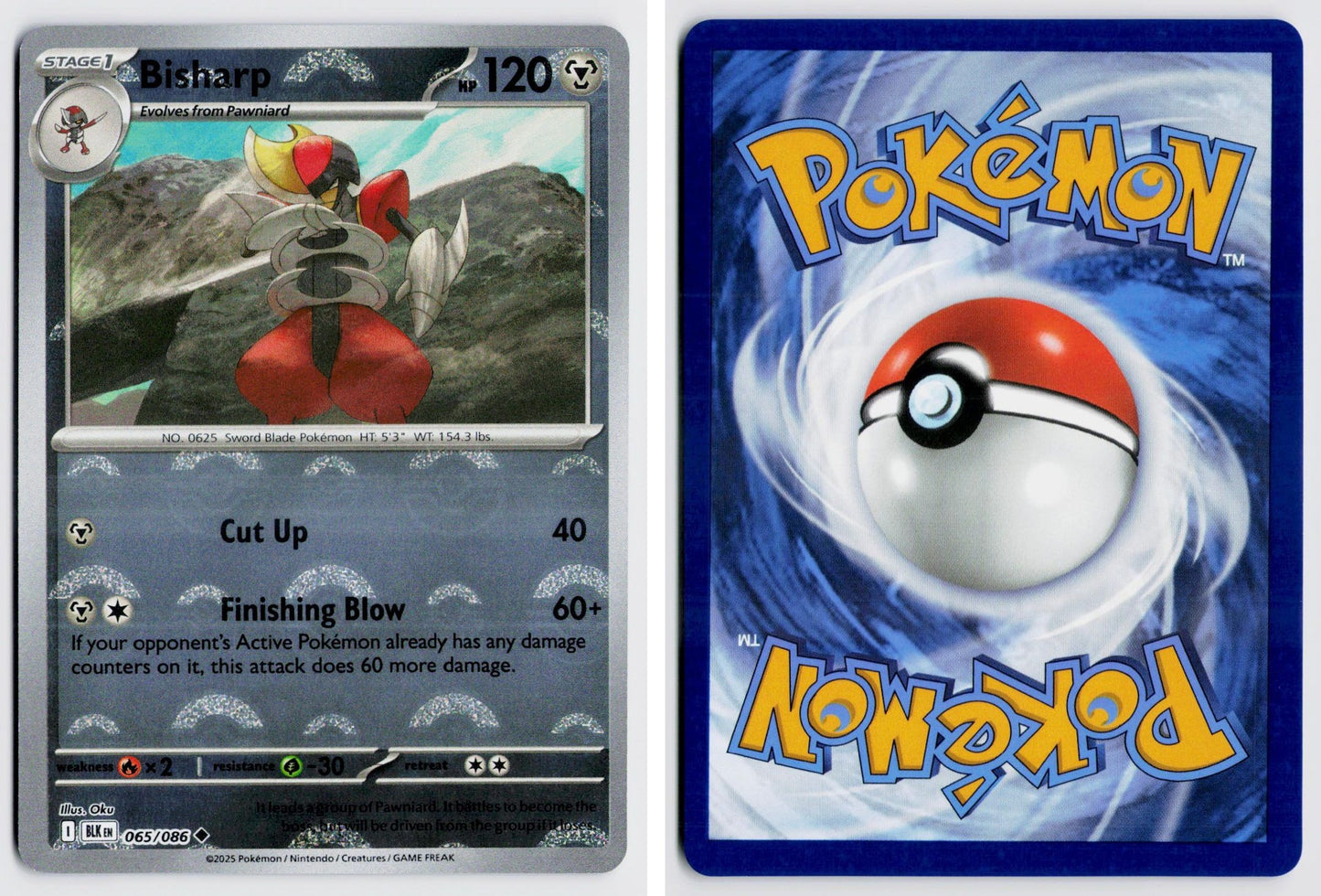 Front + Back scan