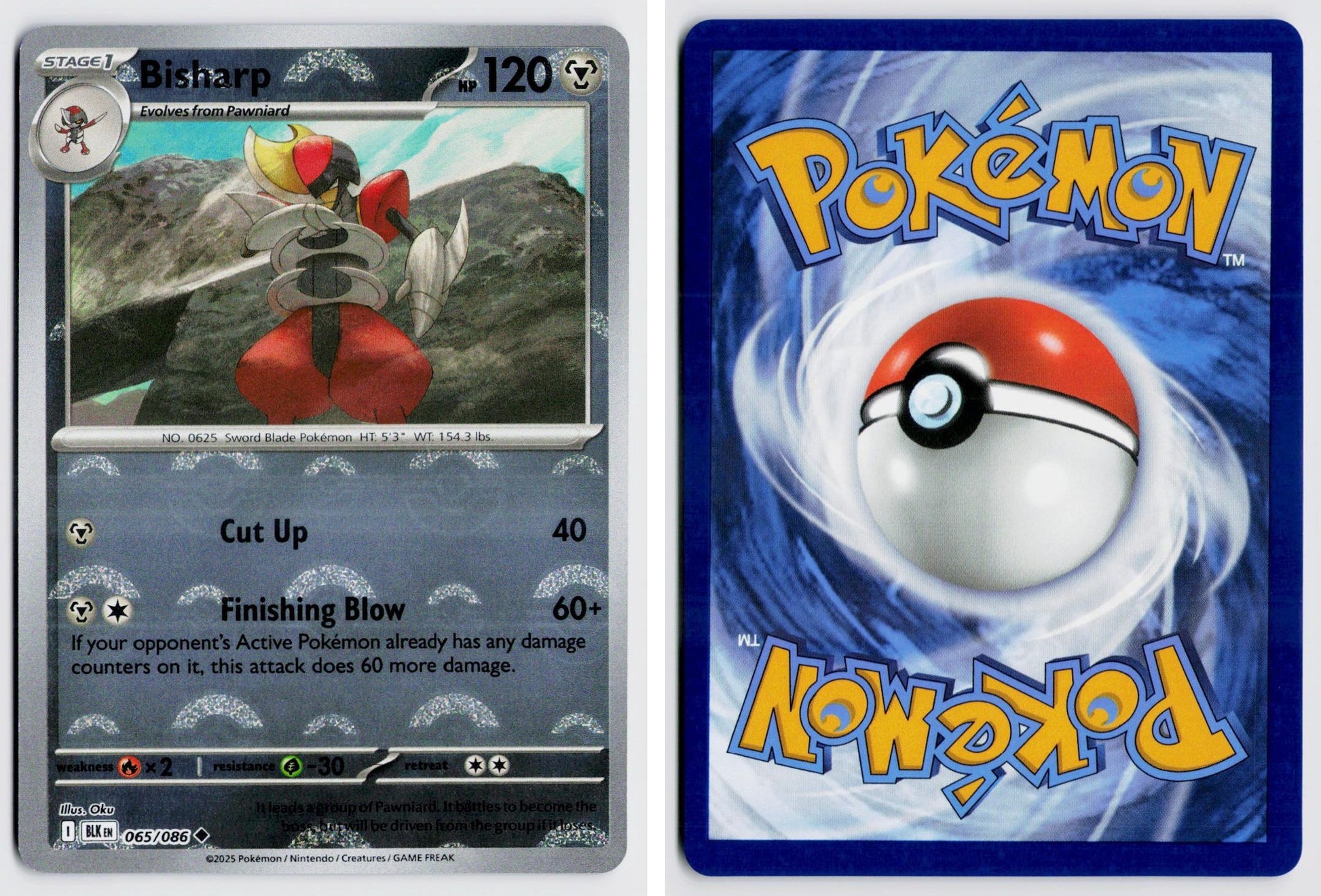 Front + Back scan