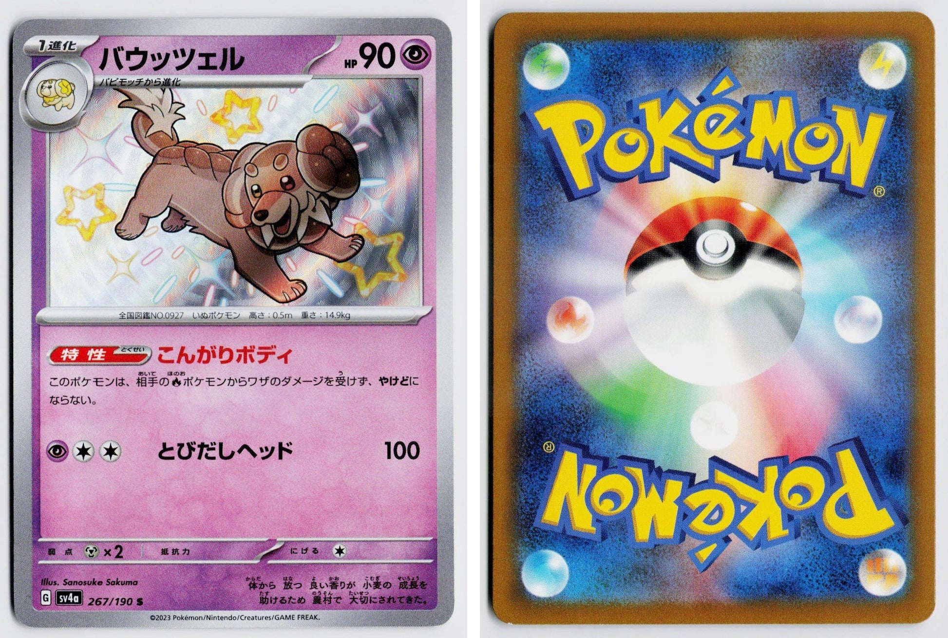 Front + Back scan