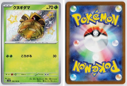 Front + Back scan