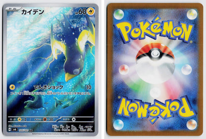 Front + Back scan